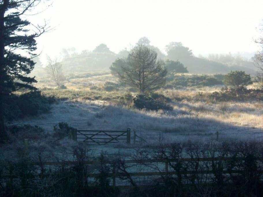 Home In Dorset, Near Jurassic Coast And Arne Wareham Dış mekan fotoğraf