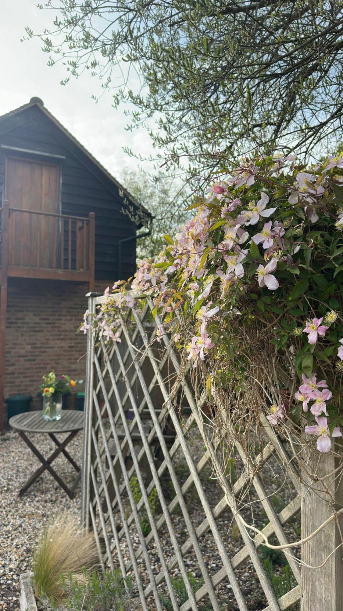 Home In Dorset, Near Jurassic Coast And Arne Wareham Dış mekan fotoğraf